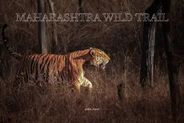 Maharashtra Wild Trail