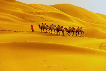jaisalmer