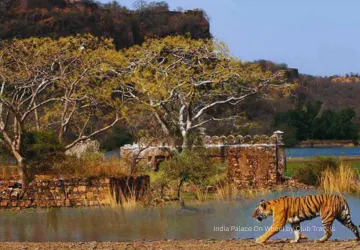 Ranthambore National Park
